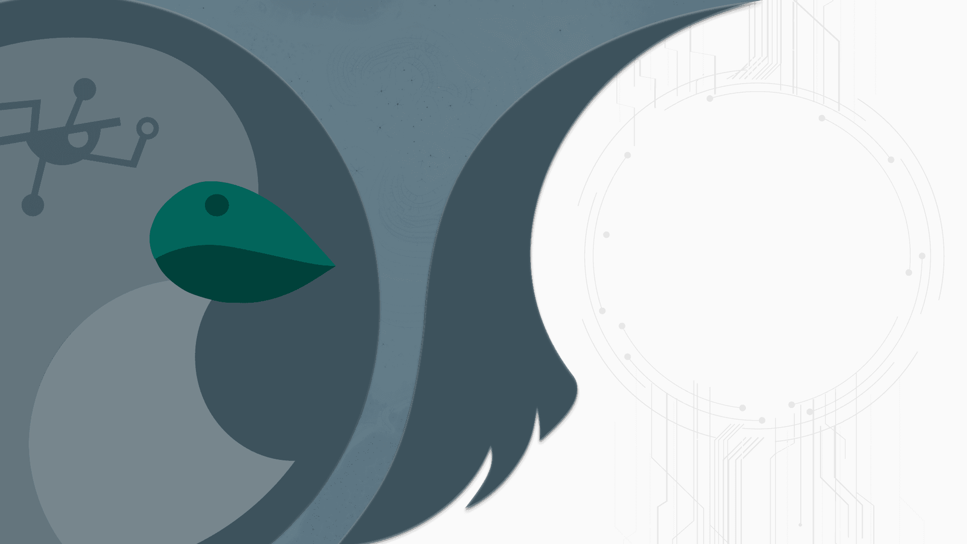 Opsiyon Background